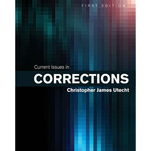 Current Issues in Corrections, (Paperback)