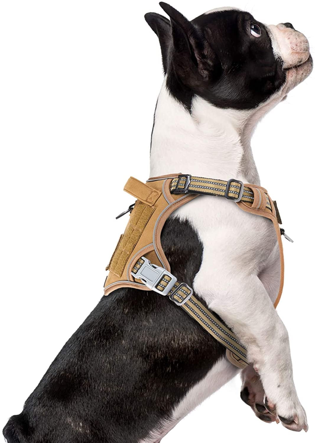 top flea treatment for dogs