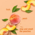 thumbnail image 4 of Febreze Air Freshener Spray, Odor-Fighting Room Spray, Georgia Peach Orchard Scent, 4 of 13