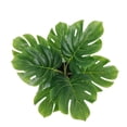 thumbnail image 6 of Mainstays 13.5'' Indoor Artificial Monstera with Bubble Vase, Blue Ceramic Vase, Green Monstera, 6 of 9