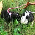 thumbnail image 6 of Ludlz Adjustable Hamster Leash Small Animal Harness Rope Harness Towing Rope for Walking Pet Hamster Squirrel-Random Color, 6 of 7