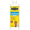 Manna Pro Corona Liniment, 16 oz.
