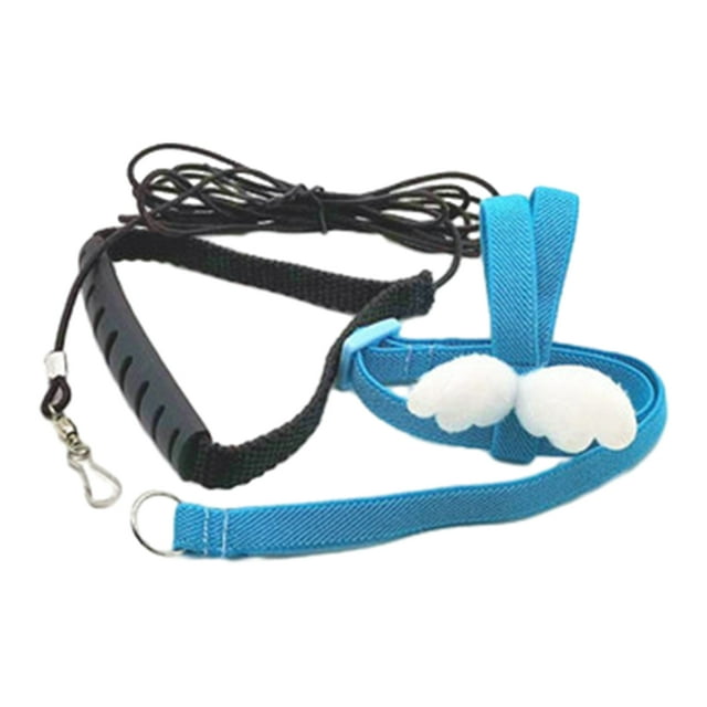 Dalazy Harnais pour Oiseaux avec Poignée Confortable pour Perroquets de Compagnie Facile à Installer et Réglable Grand Application Cadeaux Bleu Brume 1ensemble