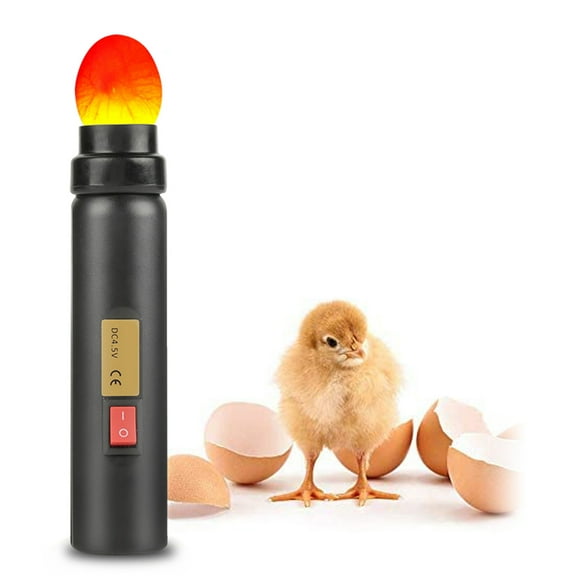 LED Egg Candler Light Tester Auto Mini Lighting Incubator Experiment Exclusive for Chickens Ducks Birds Eggs