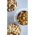 thumbnail image 1 of Popcorn de Fête, 1 of 1