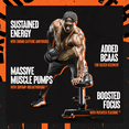 thumbnail image 4 of Animal Primal Preworkout Powder, Strawberry Watermelon, 17.9 oz (507.5 g), 4 of 7