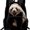 A, variant on 16" Dinosaur Print Backpack - Preppy Style Graphic Daypack with 3D Visual Effect, Large Capacity Polyester Bookbag for Back-to-School, Stylish School Travel Rucksack with Padded Straps