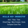 thumbnail image 2 of BioAdvanced Complete Brand Insect Killer for Lawns, Granules, 20 lb, 2 of 6