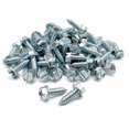 thumbnail image 1 of Paquete de 100 tornillos para matrículas de automóviles, camiones y vehículos deportivos utilitarios, 1 of 4
