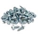 thumbnail image 1 of Paquete de 100 tornillos para matrículas de automóviles, camiones y vehículos deportivos utilitarios, 1 of 4