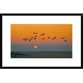 thumbnail image 1 of Global Gallery Hua Zhu 'Red-Crowned Crane' Framed Wall Art, 1 of 4