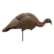 MOJO Outdoors Breeder / Feeder / Upright Hen with Carry Bag