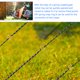 thumbnail image 3 of SWETRACE 10Ud Cerraduras De Resorte Doradas Para Mochilas Y Cinturones De Camping, 3 of 5
