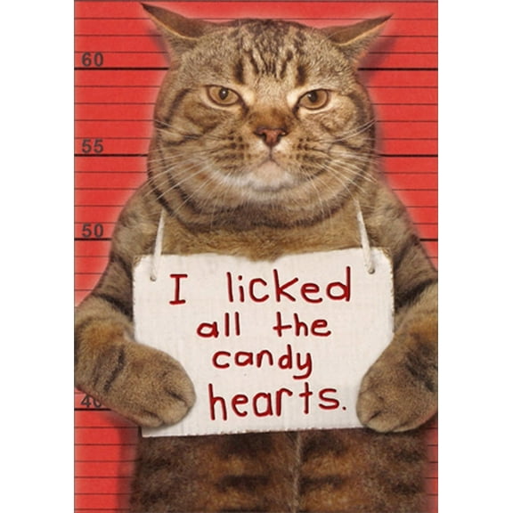 Recycled Paper Greetings Cat Mugshot : Licked All The Candy Hearts Humorous : Funny Valentine's Day Card
