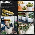 thumbnail image 3 of Biochar Blend with CarbonBoost™ for Cactus & Succulents - 4 quarts, 3 of 8