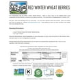 Hard Red Winter Wheat Berries 25 lbs Palouse Brand Whole Grains