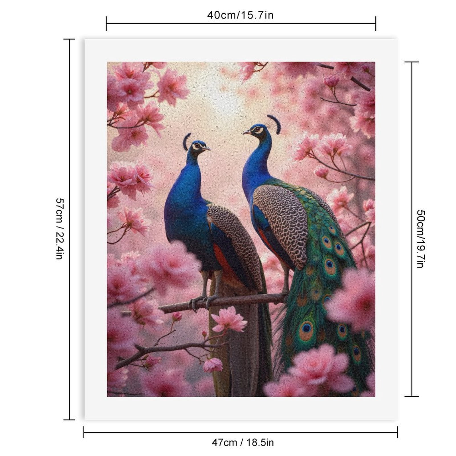 Paint by Numbers Kit for Adults, Peacock Blossoms Springtime Beauty Paint by Numbers, Easy Paint by Numbers Kit for Adults Beginner, DIY Adult Paint by Number Kits on Canvas, Home Decor