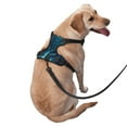 thumbnail image 2 of KLL Futuristic Jet Ski Adventure Pattern Dog Harness - Lightweight,Soft,Adjustable Small Harness and Leash Set-Medium, 2 of 6