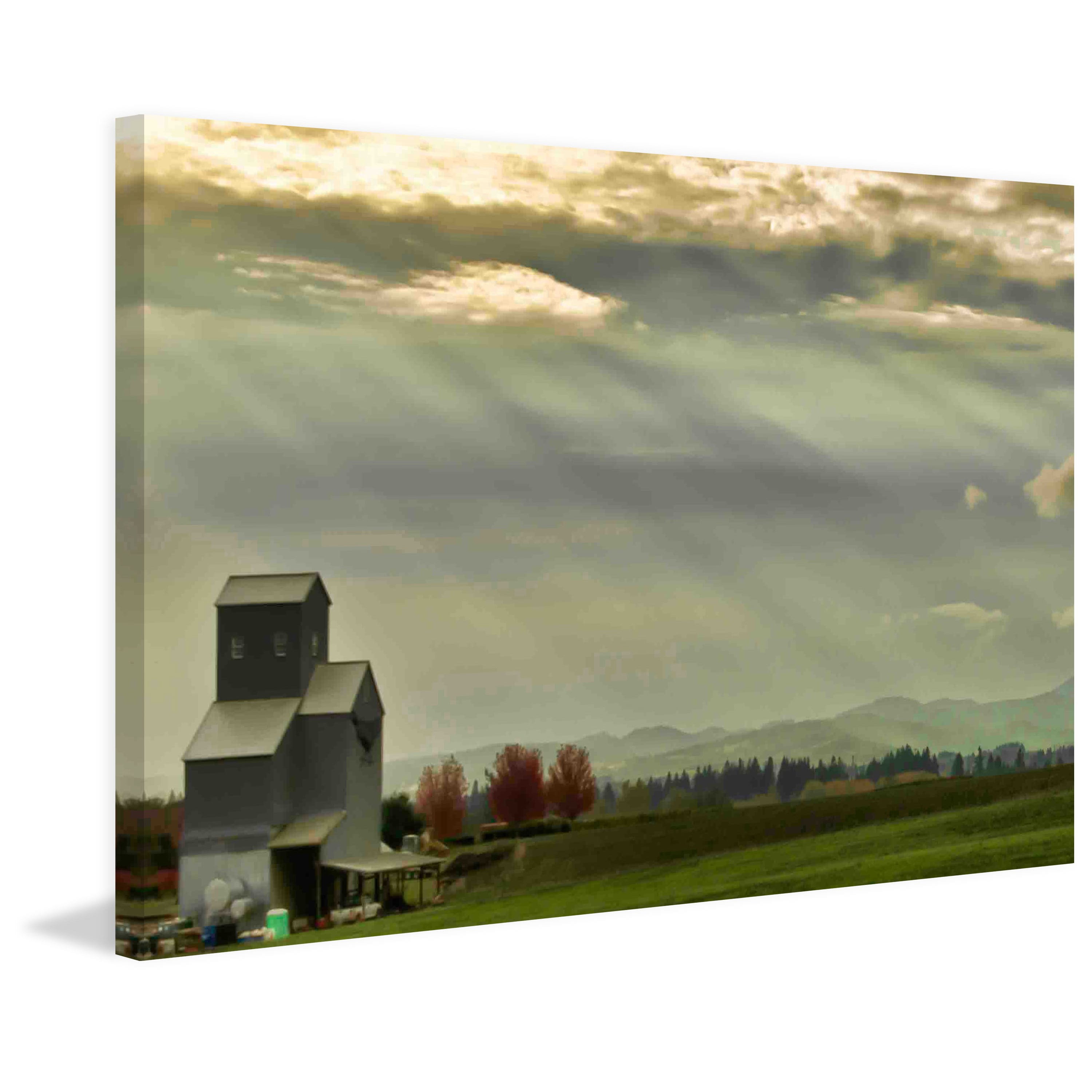 Marmont Hill "Wine Country Sunset" Painting Print on Canvas