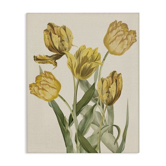 Stupell Industries French Country Antique Yellow Tulips Canvas Art, 16 x 20, by Lil' Rue
