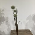 thumbnail image 2 of GRASS BALL SPRAY X 3, 2 of 3