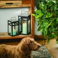 thumbnail image 5 of Vance Kitira 6" Aqua Timber Pillar Candle, 5 of 9