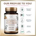 thumbnail image 4 of Turmeric Curcumin Supplement with 95% Curcuminoids, Organic Turmeric & Ginger 1750mg, BioPerine Black Pepper for Best Absorption, Nature's Vegan Joint Support, Non-GMO, Bottled in USA - 360 Capsules, 4 of 9