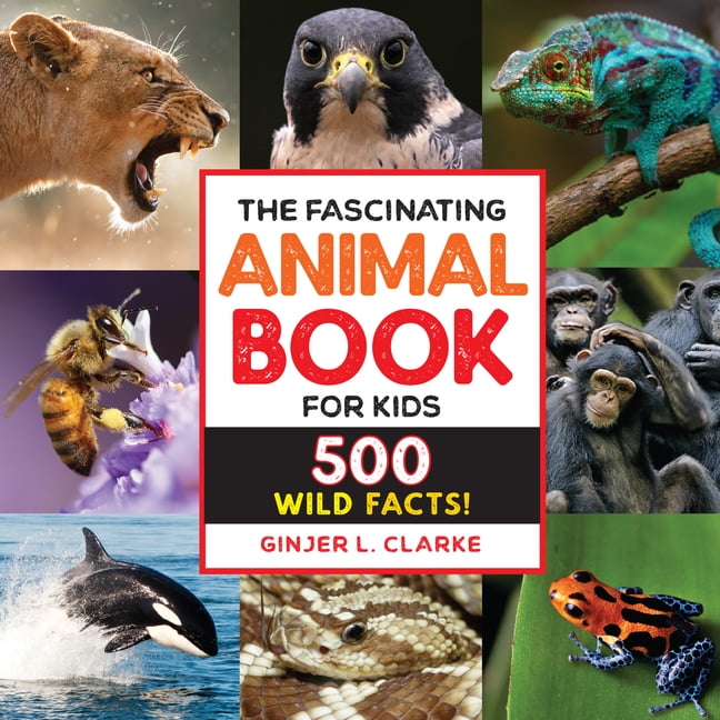 The Fascinating Animal Book for Kids (Paperback)