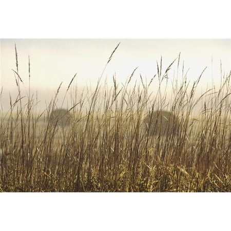 Bales of Hay In A Field In The Fog - Thunder Bay - Ontario - Canada Poster Print