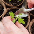 thumbnail image 3 of Mosiee Paper Pulp Germination Pot Biodegradable Cultivation Pot Garden Planting Tools, 3 of 9