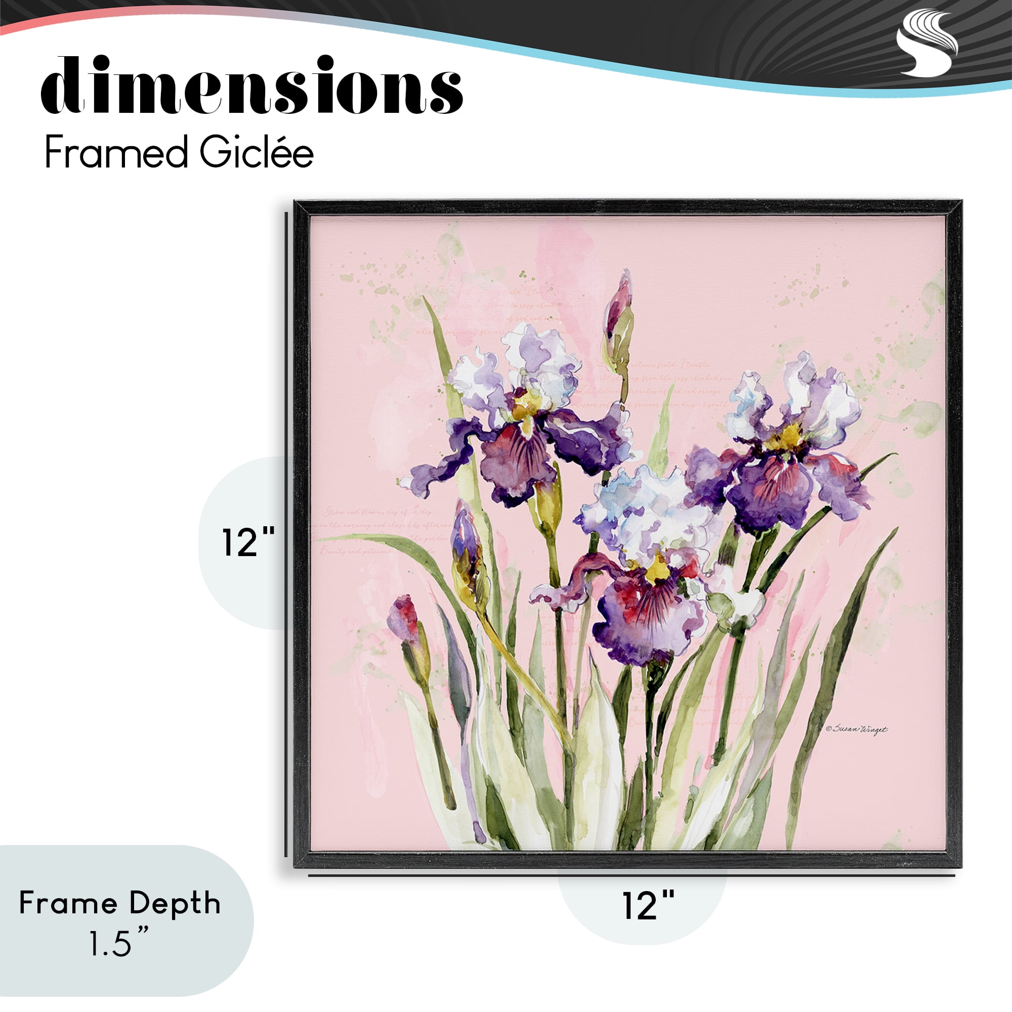 Stupell Industries Purple Irises on Pink Black Framed Giclee Art, design by Susan Winget