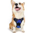 thumbnail image 1 of Rabbitgoo Arnés para Perros, Arnés para Mascotas sin Tirones con 2 Clips para Correa, Chaleco para Perros Acolchado Suave y Ajustable, Chaleco Oxford Reflectante para Mascotas sin asfixia con asa de f, 1 of 4