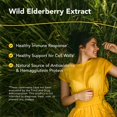 thumbnail image 2 of Suplemento NORTH AMERICAN HERB & SPICE Elderol 60 ml, 2 of 7
