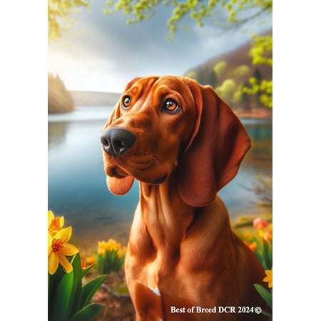 Red Bone Coonhound - Best of Breed DCR Spring Garden Flag