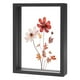 thumbnail image 1 of Marco de Flores Secas Prensadas de Madera, Marco de Imagen Flotante de Acrílico Doble de 5 x 7 Pulgadas para Flores Secas/Mesa/DIY/Artesanías [Negro], 1 of 7