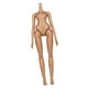 thumbnail image 1 of Cuerpo femenino a escala 1/6, figura de acción a escala 1:6, adorno coleccionable DIY estilo A CUTICAT Figura de acción, 1 of 8