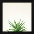 thumbnail image 2 of Felicity Bradley 12x12 Black Modern Wood Framed Wall Art Titled - Succulent Simplicity I Neutral, 2 of 6