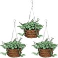 thumbnail image 1 of KAKOWELY 3 piezas de adornos en miniatura para muebles de casa pequeña, decoración de plantas de resina., 1 of 5