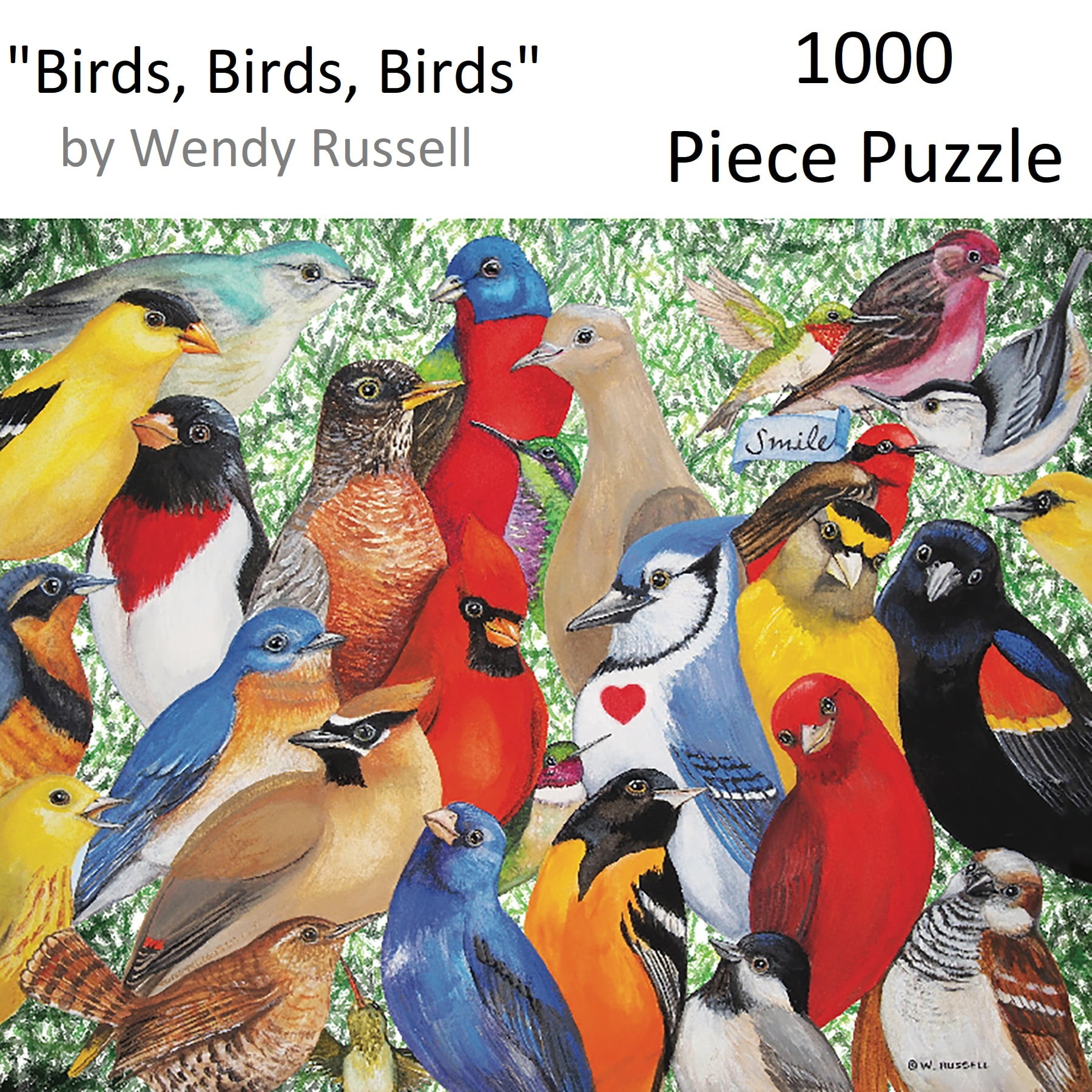 Amazon.com: Vintage Bird Puzzles for Adults 1000 Pieces