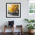 thumbnail image 3 of Art.com Park Pretty II Photographic Print by Assaf Frank, Black Frame Wall Art, 38" x 38", 3 of 5