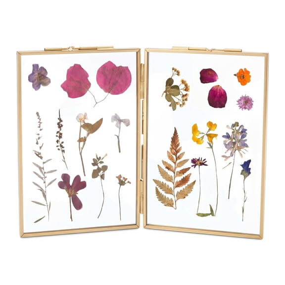 Brass Photo Frame for Pressed Flowers - Golden Hinged Double Glass Display Frame, 6.30 in × 3.94 in