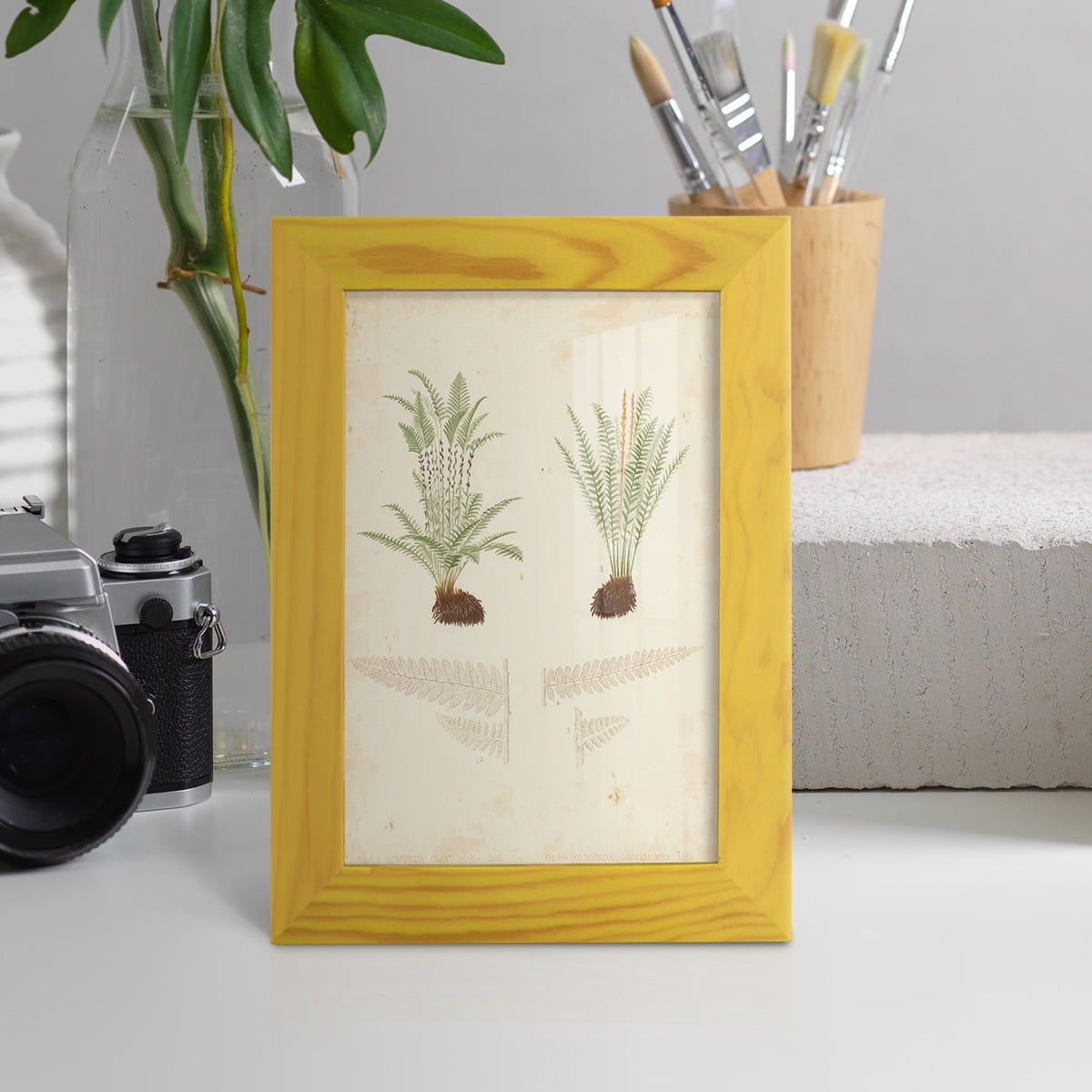 Fern Study III -Framed Print w/glass-Sunflower Yellow