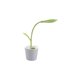 thumbnail image 1 of Lámpara de noche LED USB, 3 modos de iluminación, lámpara de escritorio, lámpara de mesa, ideal para leer, forma de planta original, verde y relajante, multifunción, reduce la fatiga visual Dontodent Kuyhfg Sin marca, 1 of 5