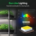 thumbnail image 3 of Luces de cultivo T5 para plantas de interior, espectro completo de 5000 K, 28 W (4 x 7 W), tira de luz LED de planta de 1 pie con temporizador y drive, 3 of 8