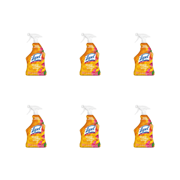 Lysol Mango & Hibiscus 6 pack bottles
