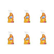 Lysol Mango & Hibiscus 6 pack bottles