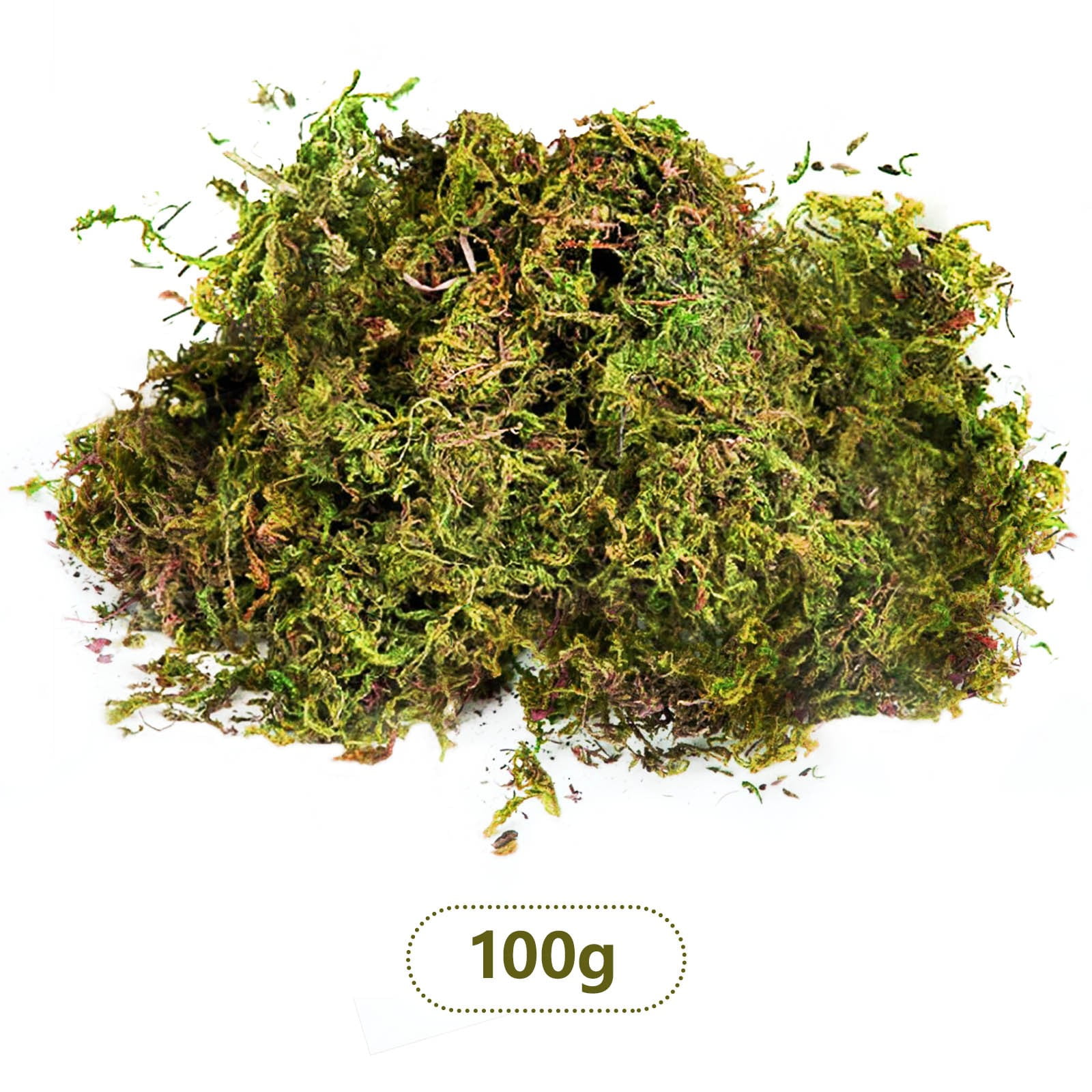 Fake Moss Artificial Moss for Potted Plants Greenery Moss Home Decor Fairy Garden Crafts Wedding Decoration Fresh Green 100g