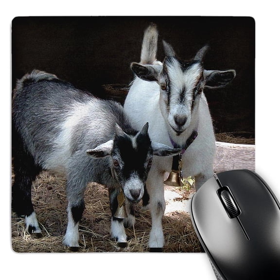 3dRose, Pygmy Goat, MousePad