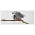 thumbnail image 1 of Grey Kitchen Mat, Parrot Bird Psittacus Erithacus Standing on a Branch Tropical Nature Wildlife, Plush Decorative Kitchen Mat with Non Slip Backing, 47" X 19", Multicolor, by Ambesonne, 1 of 1