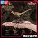 thumbnail image 4 of Figuras originales de Bandai Gashapon Big Biological Map, modelo de figura de acción de dinosaurio tiranosaurio de simulación, juguetes de animales móviles, 4 of 5